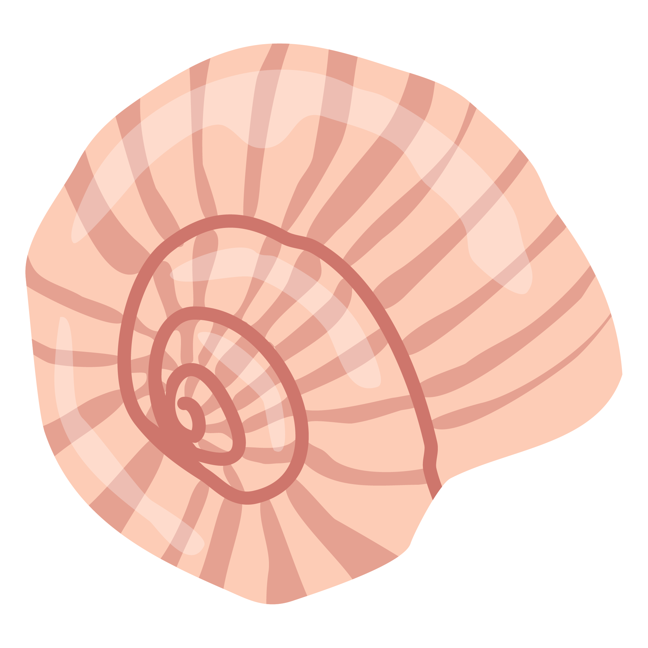 round-shell