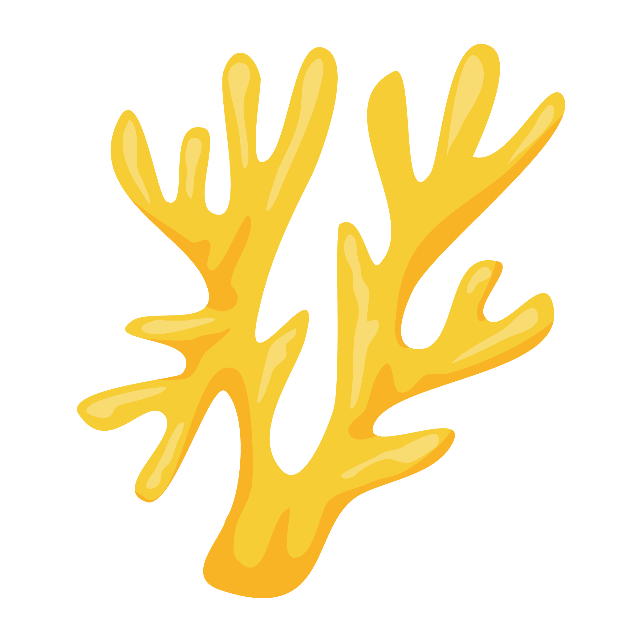 yellow-coral